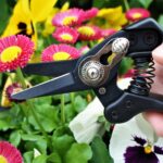Blumen und Floristenschere N-25