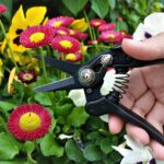 Blumen und Floristenschere N-25