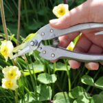 Handliche Damenschere Blumenschnitt