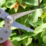 Handliche Damenschere Blumenschnitt